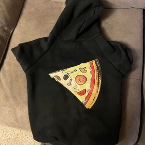 Matching dog and human hoodie set.